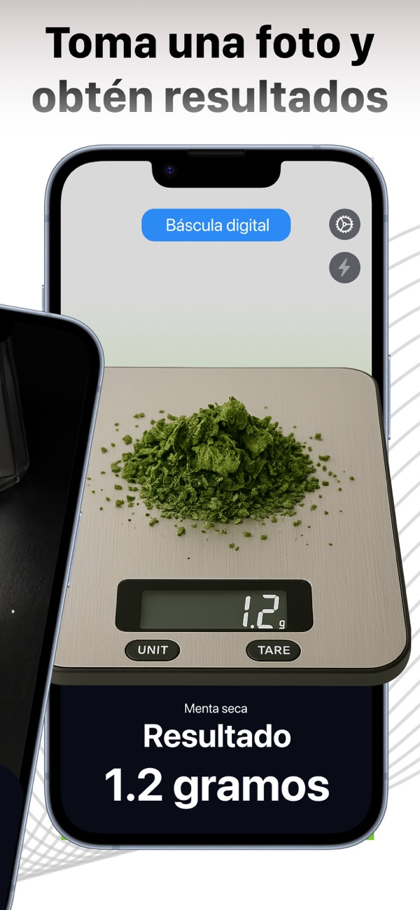 Captura de pantalla de Scale For Grams